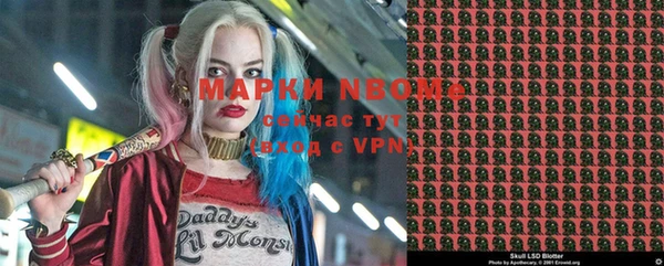 гидра Алексеевка