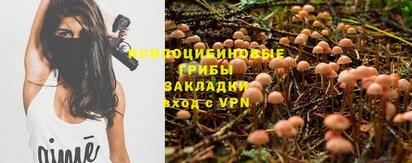 прущая мука Алзамай