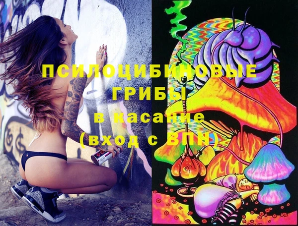 молекула духа Алексин