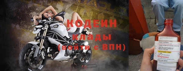 прущие грибы Няндома