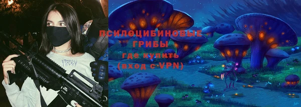 молекула духа Алексин