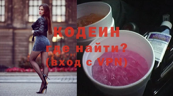 прущие грибы Няндома