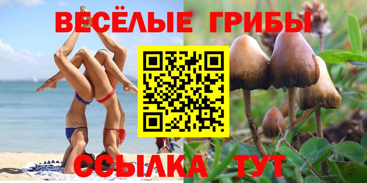 Симферополь  Галлюциногенные грибы ЛСД  Вход с VPN 